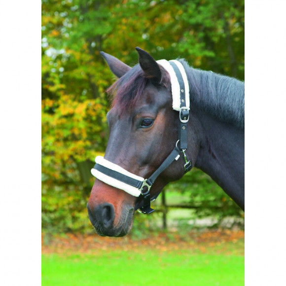 Licol Avec Fourrure Amovible Noir .pour Chevaux. Taille Pony. - Kerbl - Ke-328261