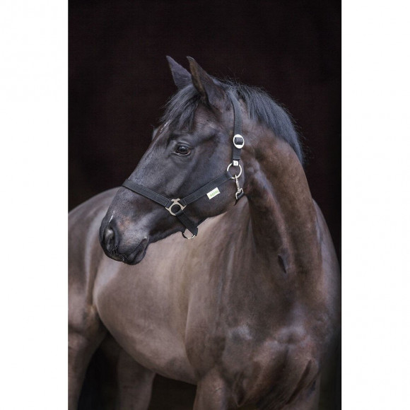 Licol Classic Noir Pony - Kerbl - Ke-32110