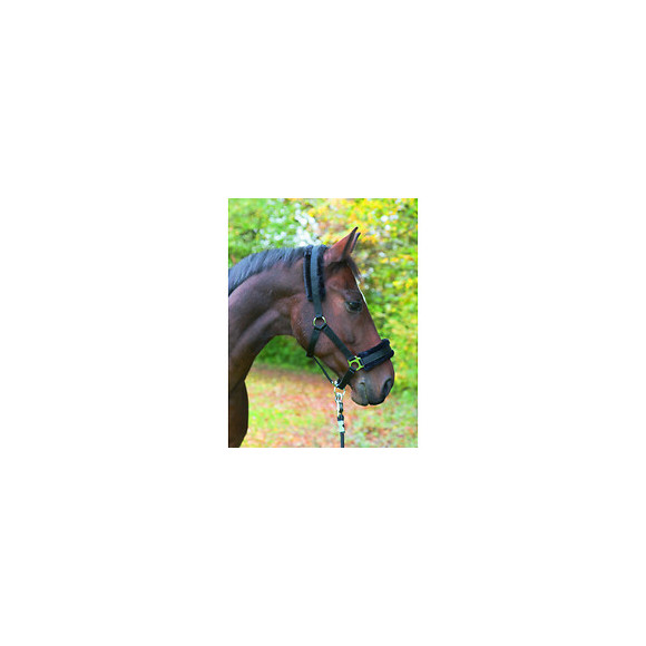 Licol Avec Fourrure Amovible Noir .pour Chevaux. Taille Cob. - Kerbl - Ke-328237