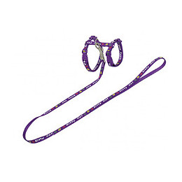 Harnais Avec Laisse 1.20m. Kitty. Mauve. Pour Chaton. - Vadigran - Va-16599