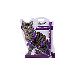 Harnais Avec Laisse 1.20m. Kitty. Mauve. Pour Chaton. - Vadigran - Va-16599