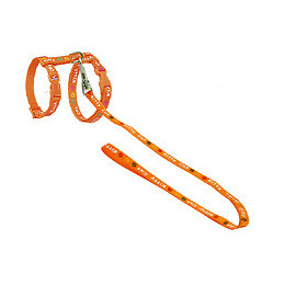 Harnais Avec Laisse 1.20m. Kitty Cat Orange. Pour Chaton. - Vadigran - Va-16595