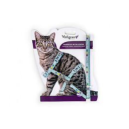 Harnais Avec Laisse 1.20m. Kitty Cat Bleu. Pour Chaton. - Vadigran - Va-16596