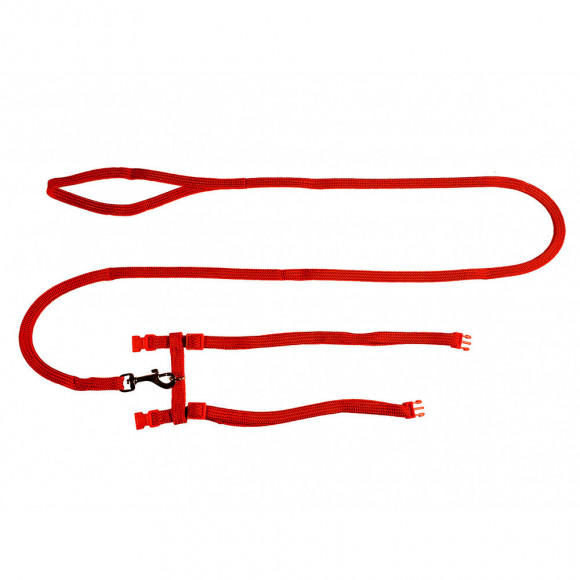 Harnais Avec Laisse 1.20m. Classic. Rouge. Pour Chat. - Vadigran - Va-16604