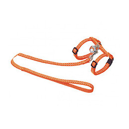 Harnais + Laisse 120 Cm. À Pois Orange. Réglable. Pour Chat. - Vadigran - Va-16600