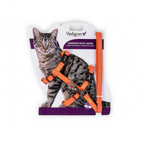 Harnais + Laisse 120 Cm. À Pois Orange. Réglable. Pour Chat. - Vadigran - Va-16600