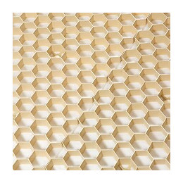 Palette De 35 M² - Stabilisateur De Gravier 1200 X 800 Mm - Nidaplast - Beige