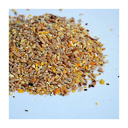 Aliment Mélange Traditionnel Fermier Bio,  20kg. - C'son Bio - Soa-10661349