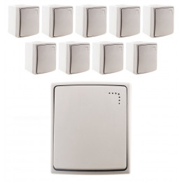 Lot De 10 Boutons Poussoir À Voyant - Orok