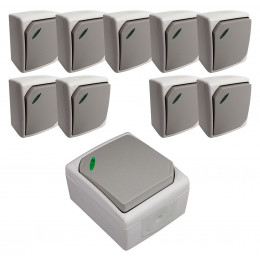 Lot De 10 Va & Vient Simple À Voyant Gris Clair - Ip54 - Nano