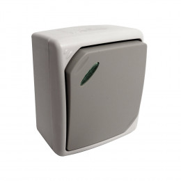 Va & Vient Simple À Voyant Gris Clair - Ip54