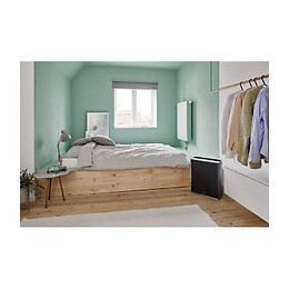 Purificateur D'air Roger