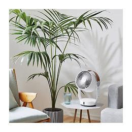 Ventilateur Oscillant Leo