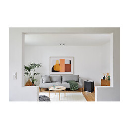 Purificateur D'air Roger Big