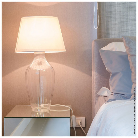 Ampoule Led A60 Opaque, Culot E27, Conso. 17w, 2452 Lumens, Blanc Neutre