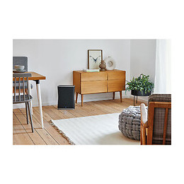 Purificateur Roger Little Noir