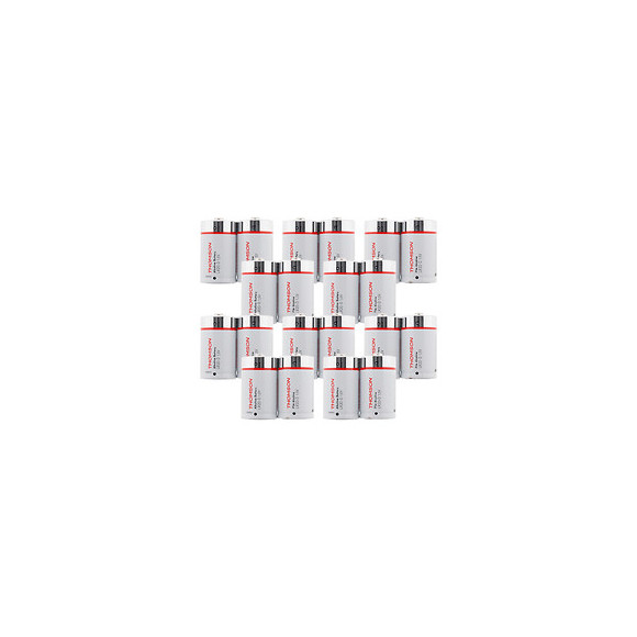Lot De 40 Piles Alcalines Lr20 D 1,5 V - Thomson