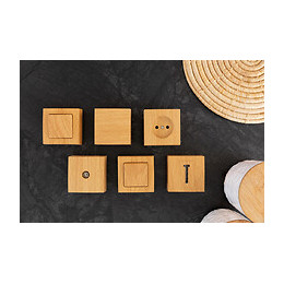 Prise Tv Ø9,52 Saillie Hêtre - Bel'vue