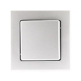 Va & Vient 10a Saillie Borne Auto Gris - Bel'vue