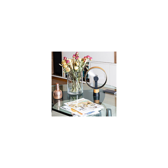 Ventilateur De Table Airain Bois