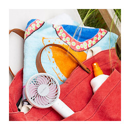 Ventilateur À Main Lacerta Rose