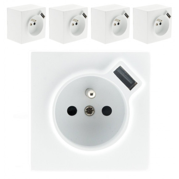 Lot De 5 Prises 2p+t + Usb 2.4a En Saillie Blanc Ral 9010