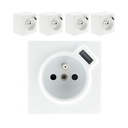 Lot De 5 Prises 2p+t + Usb 2.4a En Saillie Blanc Ral 9010