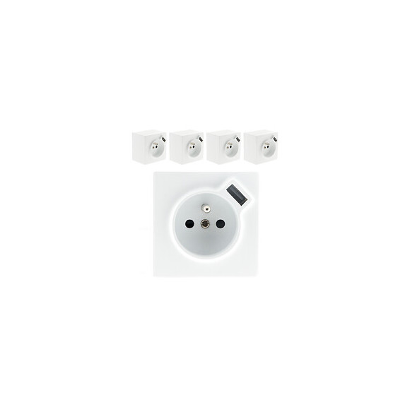 Lot De 5 Prises 2p+t + Usb 2.4a En Saillie Blanc Ral 9010