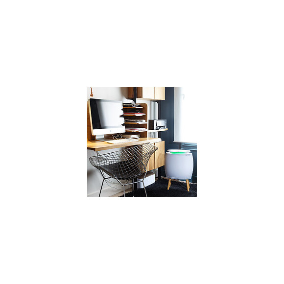 Purificateur Hepa & Connecté Lendou