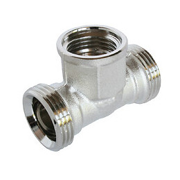 Te Femelle Au Centre 3/4ek 15/21