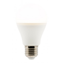 Ampoule Led Standard 6w E27 470lm 2700k