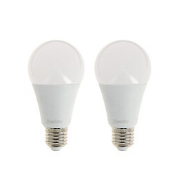Lot De 2 Ampoules Led A65 - Culot E27 - Classique