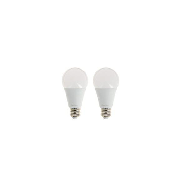 Lot De 2 Ampoules Led A65 - Culot E27 - Classique