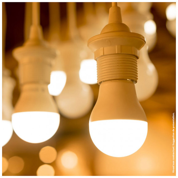 Ampoule Led A60 Dimmable, Culot E27, 9w Cons. (60w Eq.), Lumière Blanc Neutre