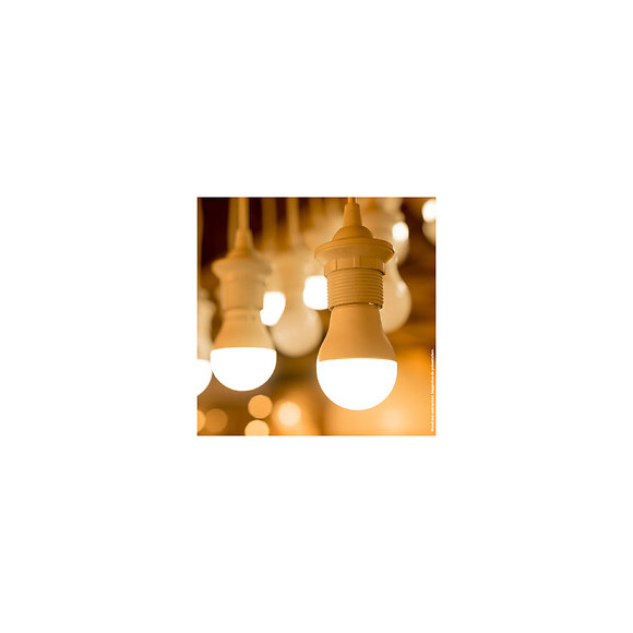 Ampoule Led Standard, Culot E27, 15w Cons. (100w Eq.), Blanc Neutre, Dimmable