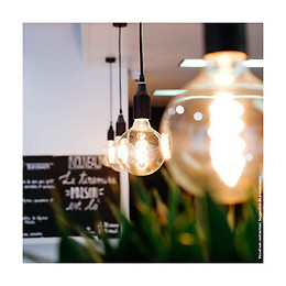 Ampoule Led (g95) / Vintage, Culot E27, 4w Cons. (28w Eq.), 300 Lumens, Lumière Blanc Chaud