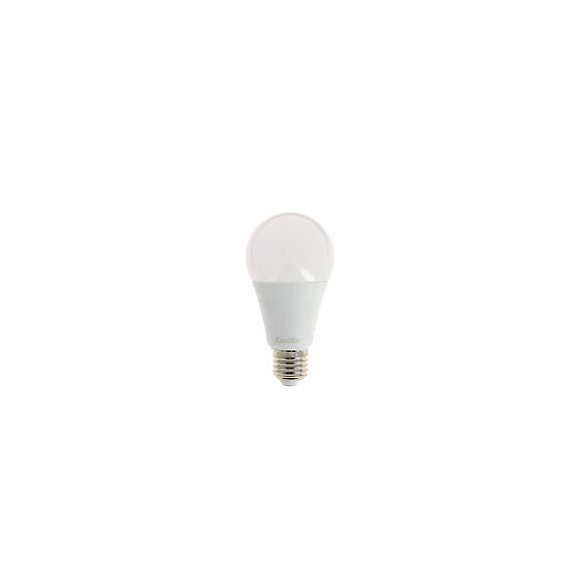 Lot De 2 Ampoules Led A67 - Culot E27 - Classique