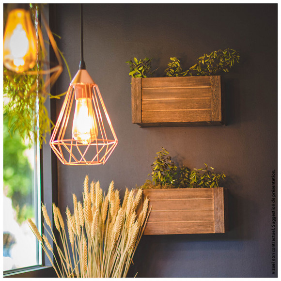 Ampoule À Filament Led Edison, Culot E27, 8w Cons. (75w Eq.), 1055 Lumens, Lumière Blanc Neutre