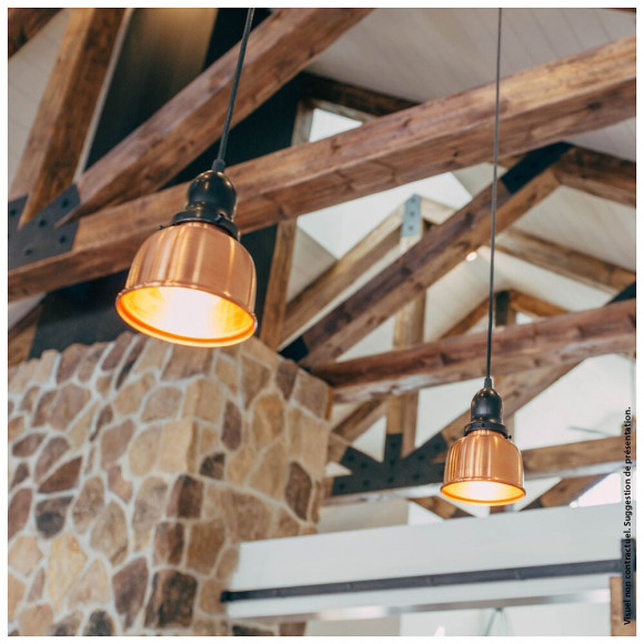 Ampoule Led Standard, Culot E27, 15w Cons. (100w Eq.), Blanc Chaud, Dimmable