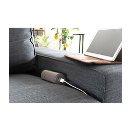 Multiprise Pour Canapé 1 Prise 2p+t 16a + 2 Usb - Marron - Thomson