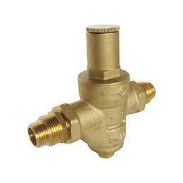 Réducteur De Pression À Membrane Double Femelle 15/21 + Manchons Mâle 15/21