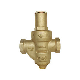 Réducteur De Pression À Membrane Double Femelle 15/21