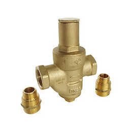 Réducteur De Pression À Membrane Double Femelle 15/21 + Raccords Multifiletés