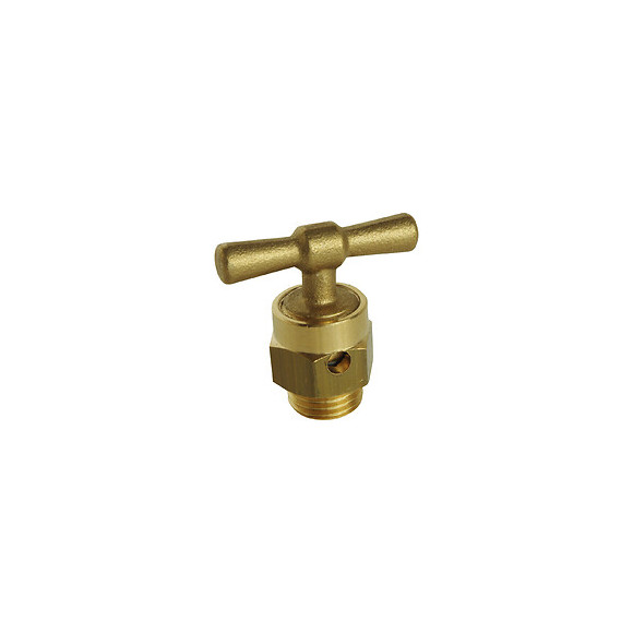 Robinet Purgeur Mâle 8/13