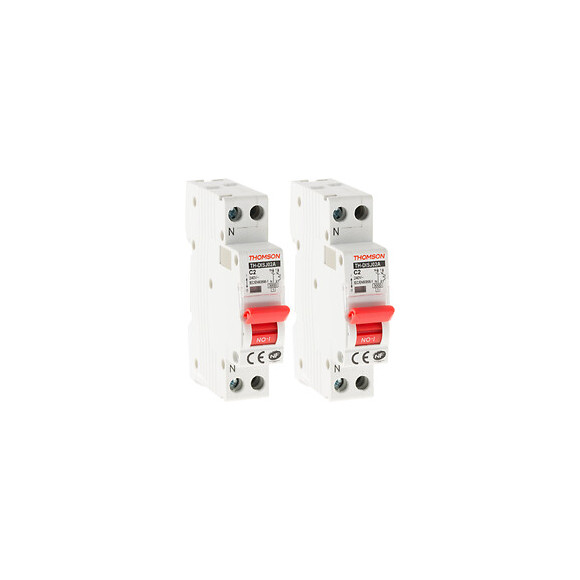 Lot De 2 Disjoncteurs À Vis Ph+n Thomson - Pouvoir De Coupure 4.5ka - 2a Nf