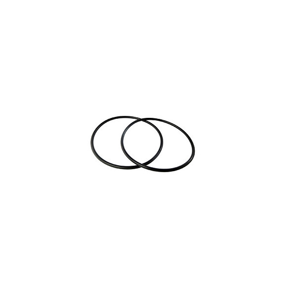 Lot De 2 Joints Toriques Pour Bol De Filtration (porte-filtre)