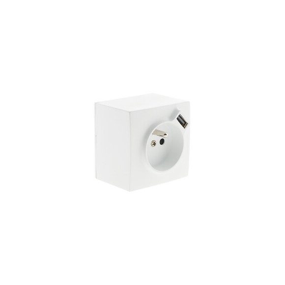 Prise 2p+t + Usb 2.4a En Saillie Blanc Ral 9010