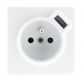 Prise 2p+t + Usb 2.4a En Saillie Blanc Ral 9010