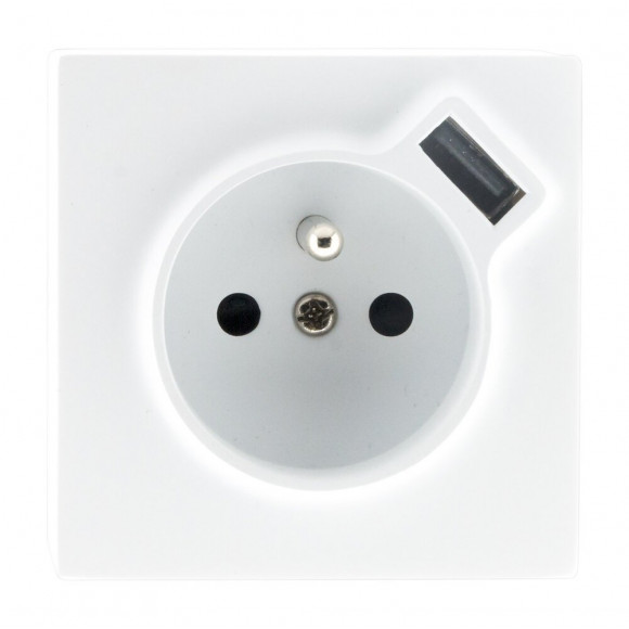 Prise 2p+t + Usb 2.4a En Saillie Blanc Ral 9010