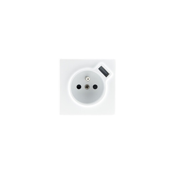 Prise 2p+t + Usb 2.4a En Saillie Blanc Ral 9010